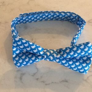 Young boy’s bunny bow tie